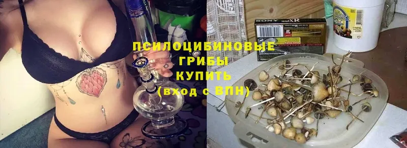 дарнет шоп  Короча  Галлюциногенные грибы ЛСД 